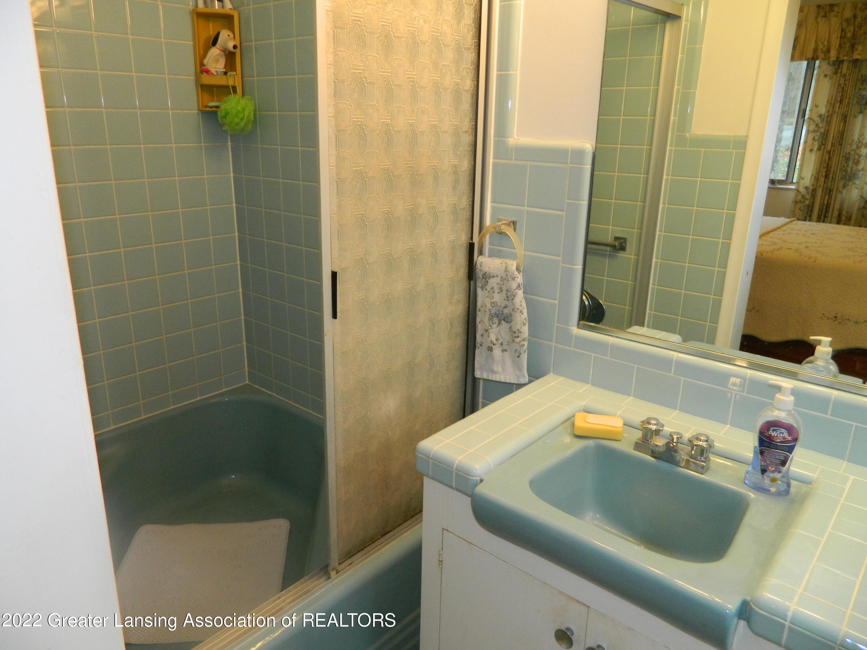10755 Riverside Drive Dimondale, MI 48821 - Photo 19 of 50 DSCN5277