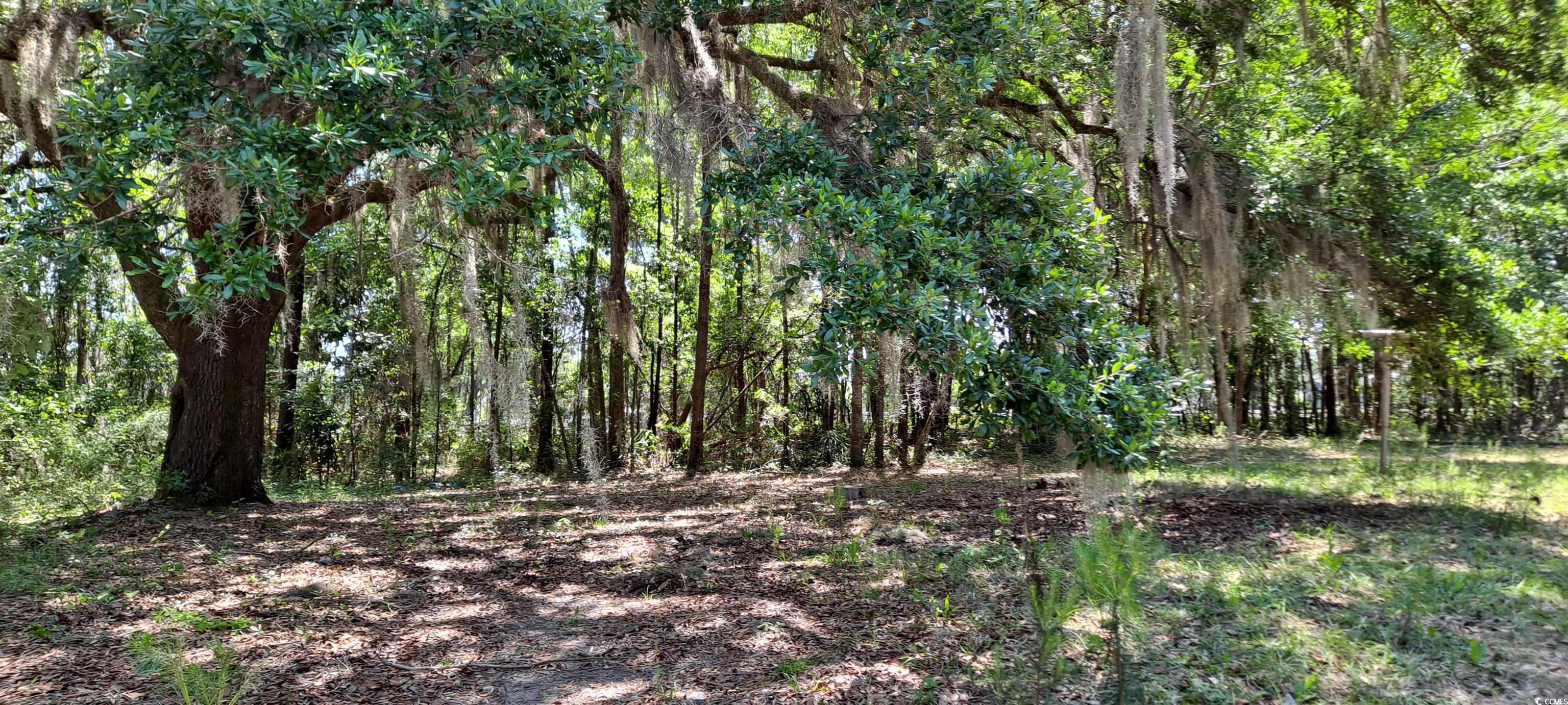 3641 South Island Road Georgetown, SC 29440 - Photo 8 of 21