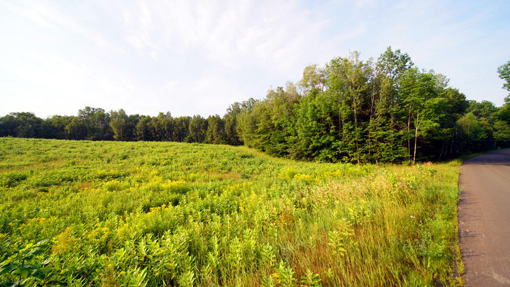 Lot 9-1 New Limerick Road Houlton, ME 04730 - Photo 22 of 40 leisner-maine-land-10