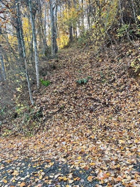 0 Whispering Winds Road Waynesville, NC 28785 - Photo 3 of 4