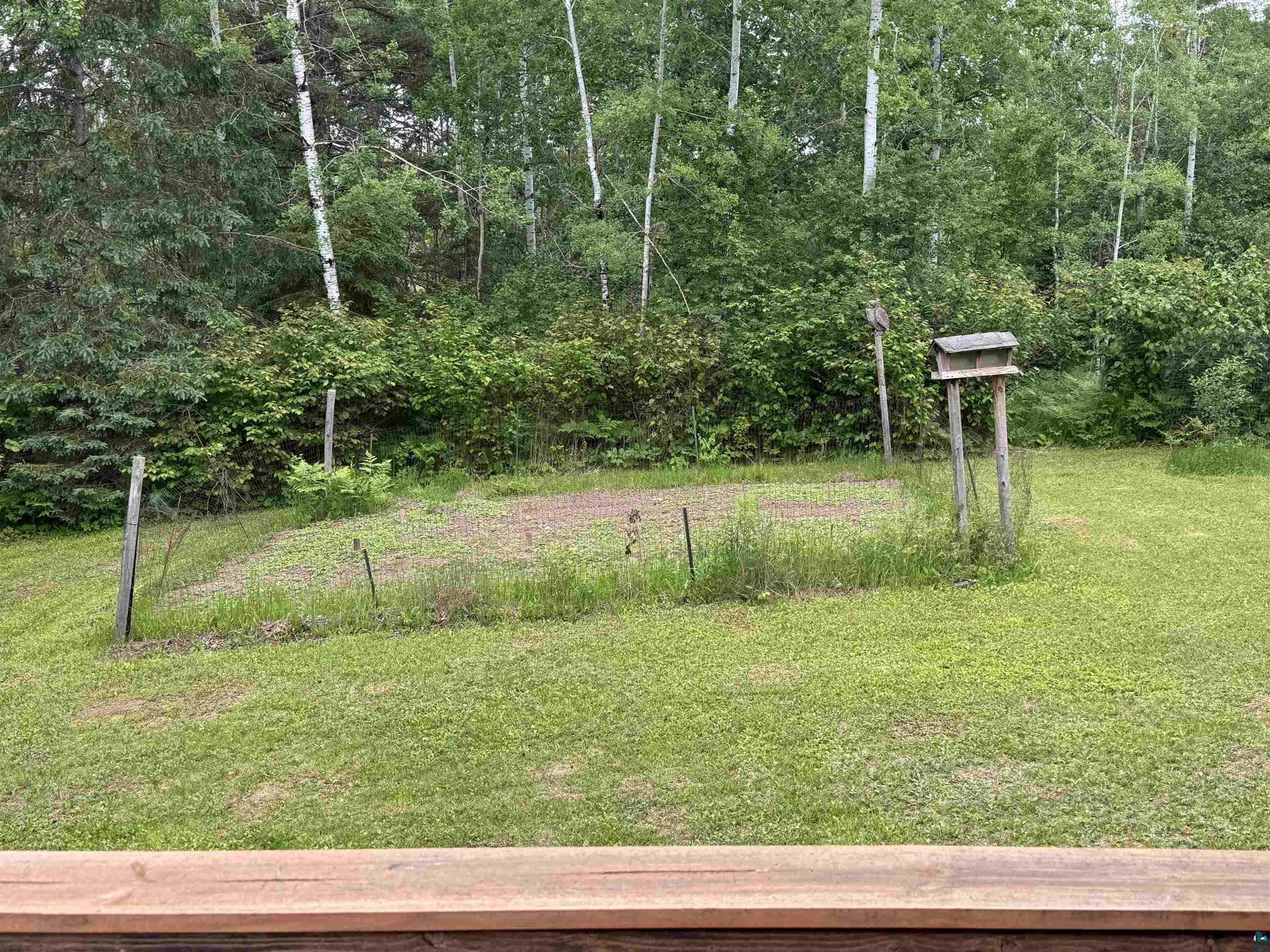 1745 Becks Road Maple, WI 54854 - Photo 36 of 46 Expansive rear yard area featuring a rectangular garden plot, a wooden birdhouse on a post, and mature trees forming a natural border