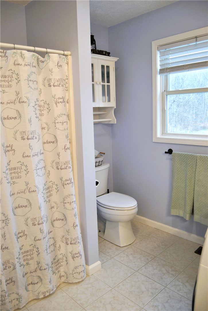 9555 Us Route Hemlock, NY 14466 - Photo 20 of 37 Common Bath