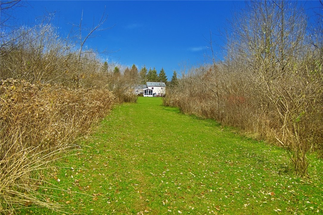 9555 Us Route Hemlock, NY 14466 - Photo 30 of 37 Walk the trails in back of the home