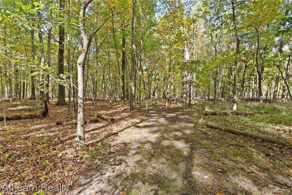 12471 Vernon Road Bancroft, MI 48414 - Photo 25 of 40