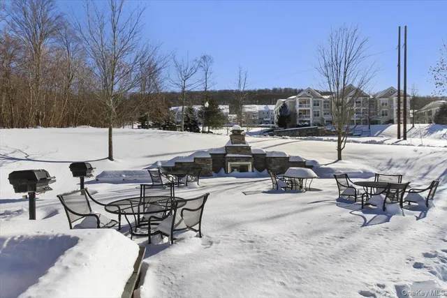 a bunch of flowers in front of the house