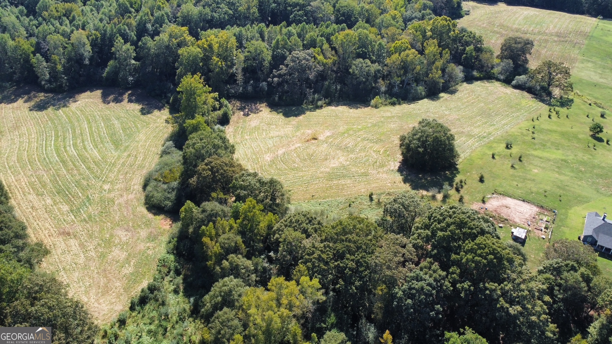 0 Anderson Thomas Road Martin, GA 30557 - Photo 4 of 9 a view of a yard with plants