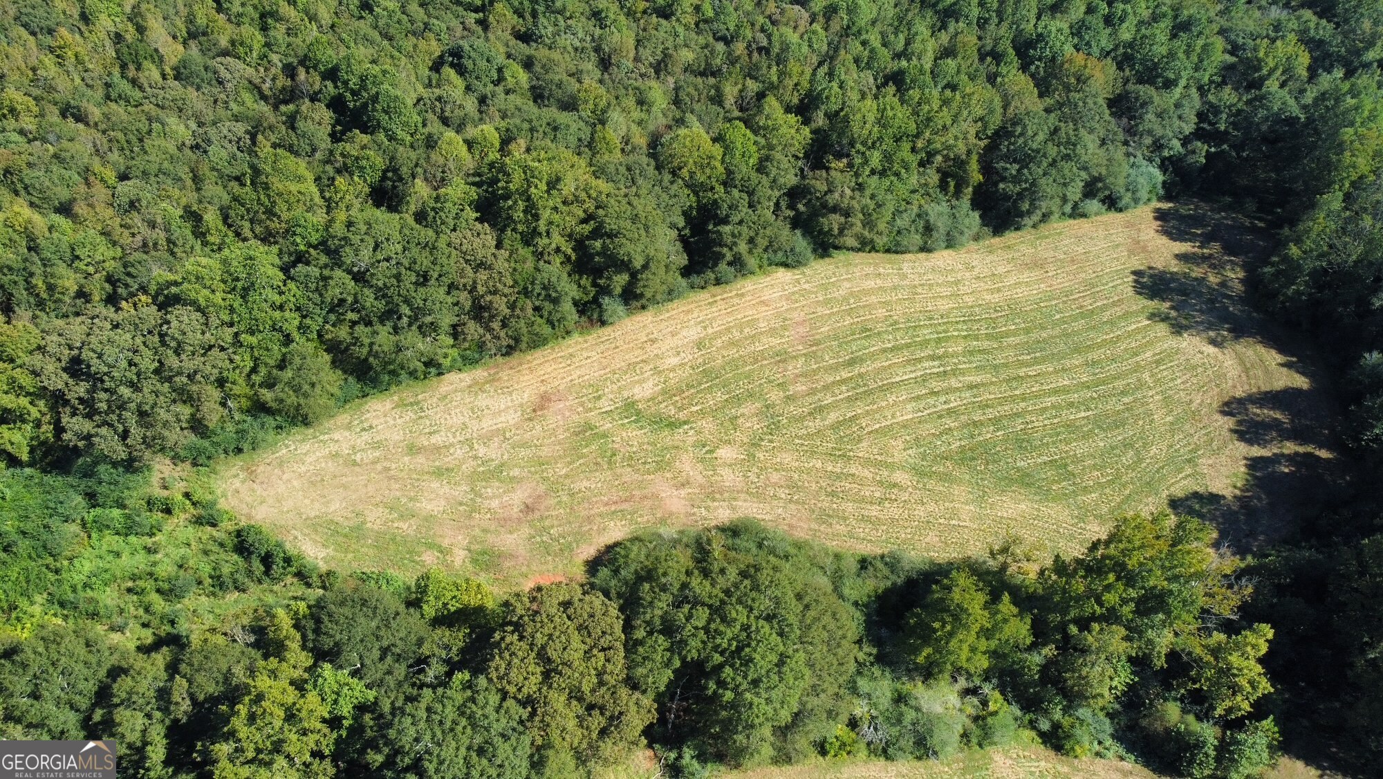 0 Anderson Thomas Road Martin, GA 30557 - Photo 6 of 9 a view of a yard