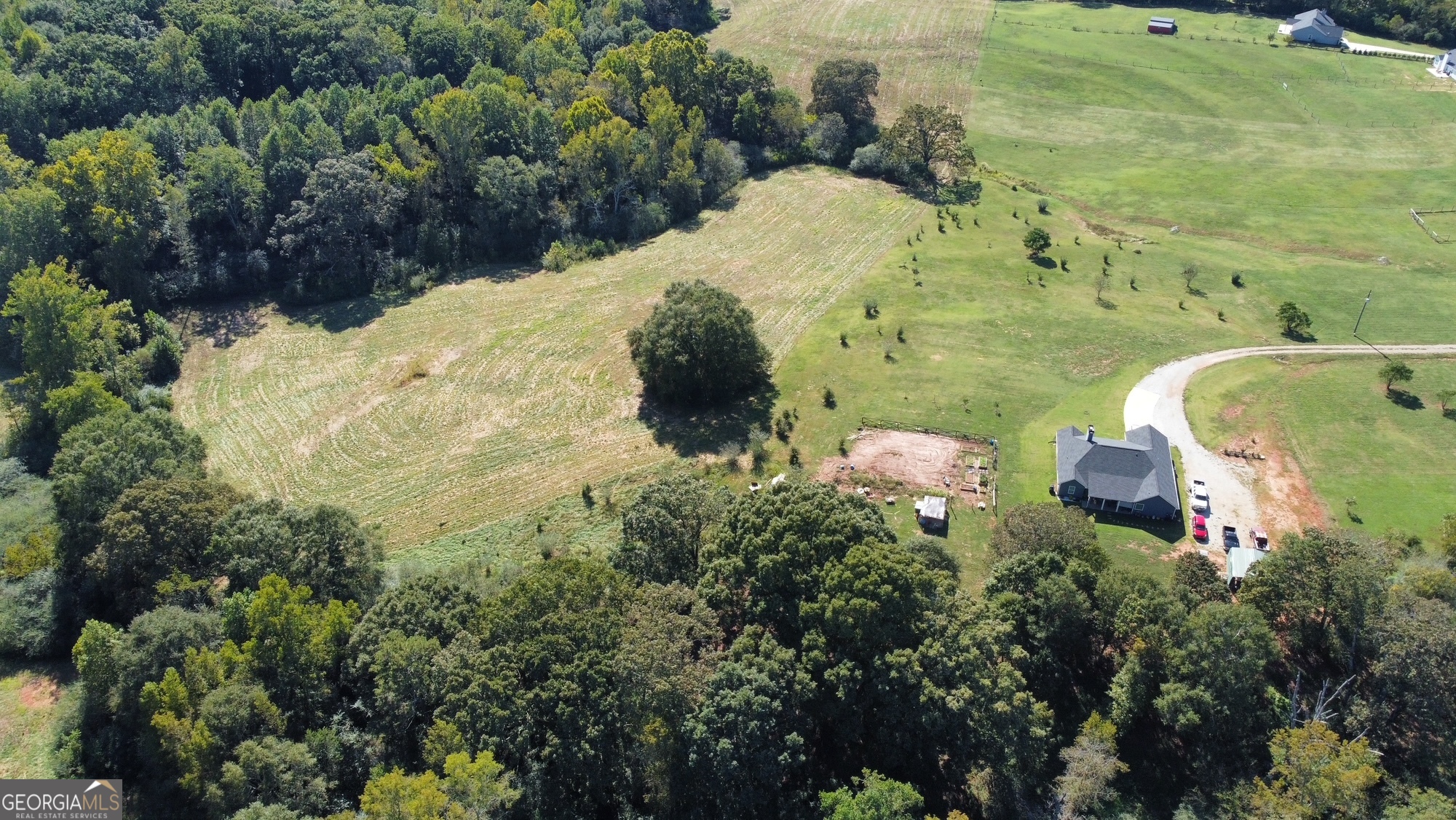 0 Anderson Thomas Road Martin, GA 30557 - Photo 8 of 9 a view of a bunch of flowers in a garden