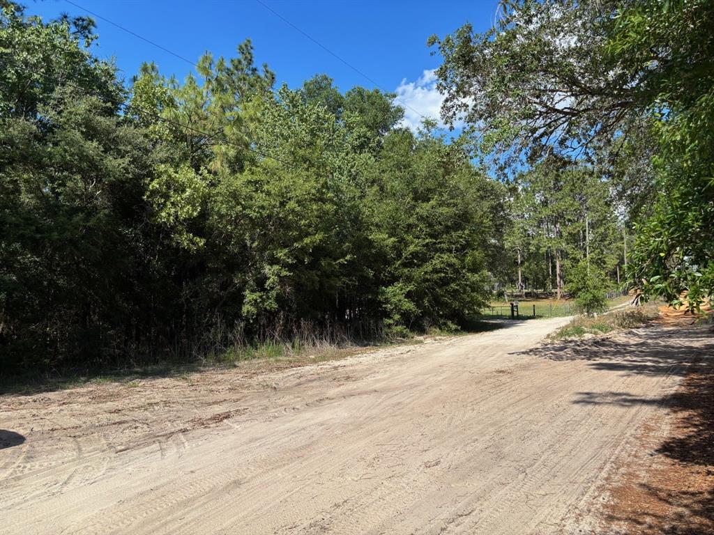 0 Southwest 93rd Place Dunnellon, FL 34432 - Photo 1 of 2 a view of a backyard of a house