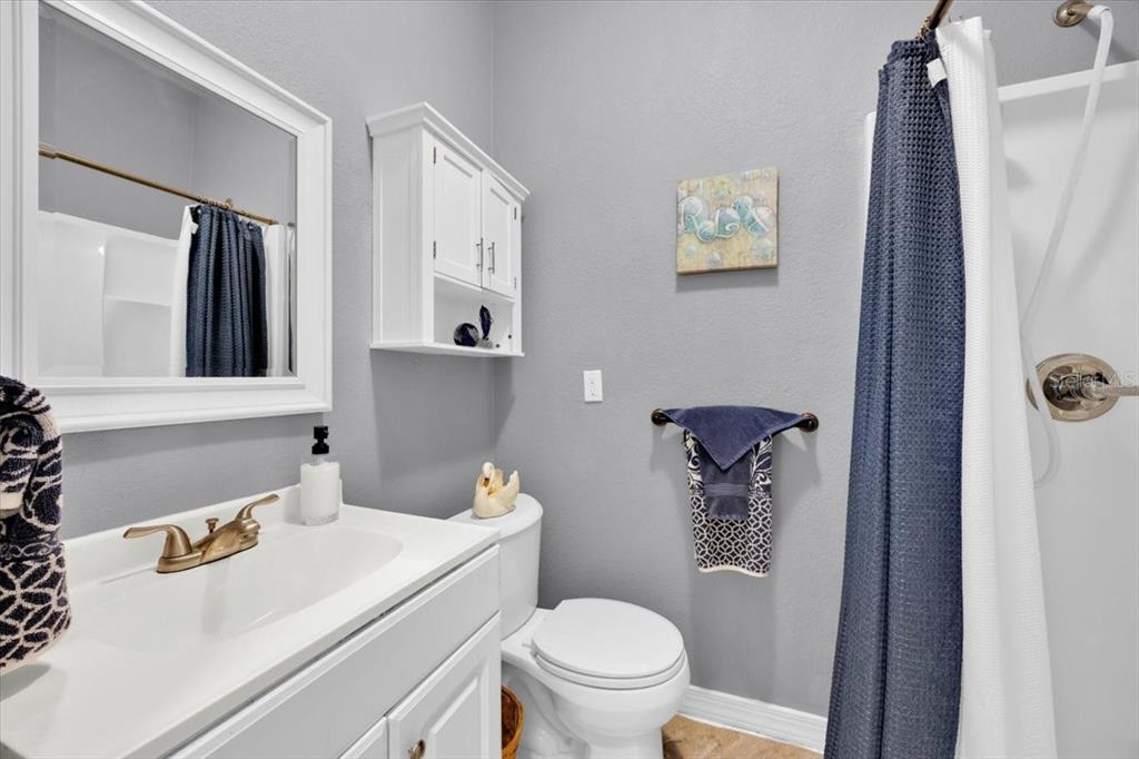 34159 Ridge Manor Boulevard Dade City, FL 33523 - Photo 20 of 33 a bathroom with a sink toilet and mirror