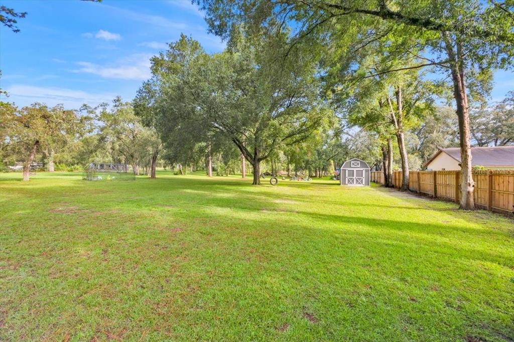 34159 Ridge Manor Boulevard Dade City, FL 33523 - Photo 24 of 33 a building with trees in the background