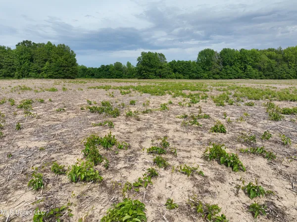 $232,000 | 1 Hampton Lake Road, Glendora, MS 38928