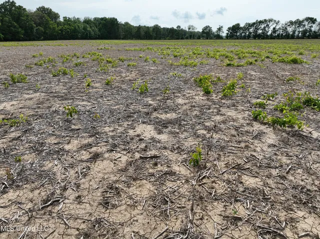 $232,000 | 1 Hampton Lake Road, Glendora, MS 38928