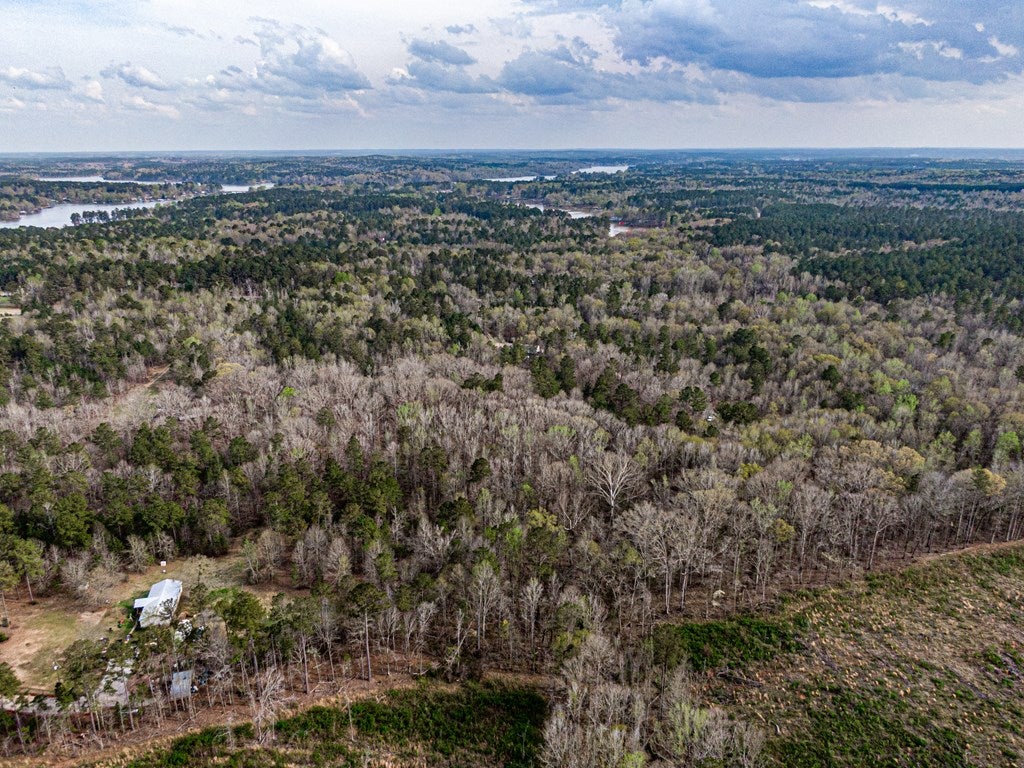 Lot 9 Old Copelan Road Eatonton, GA 31024 - Photo 18 of 23 Gallery Image 18