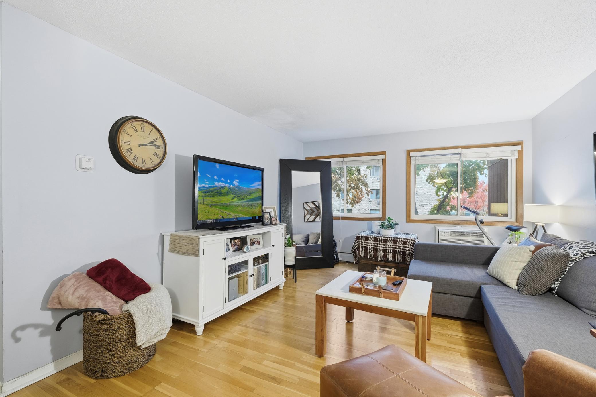 520 Ridgewood Avenue, Unit 107 Minneapolis, MN 55403 - Photo 4 of 18