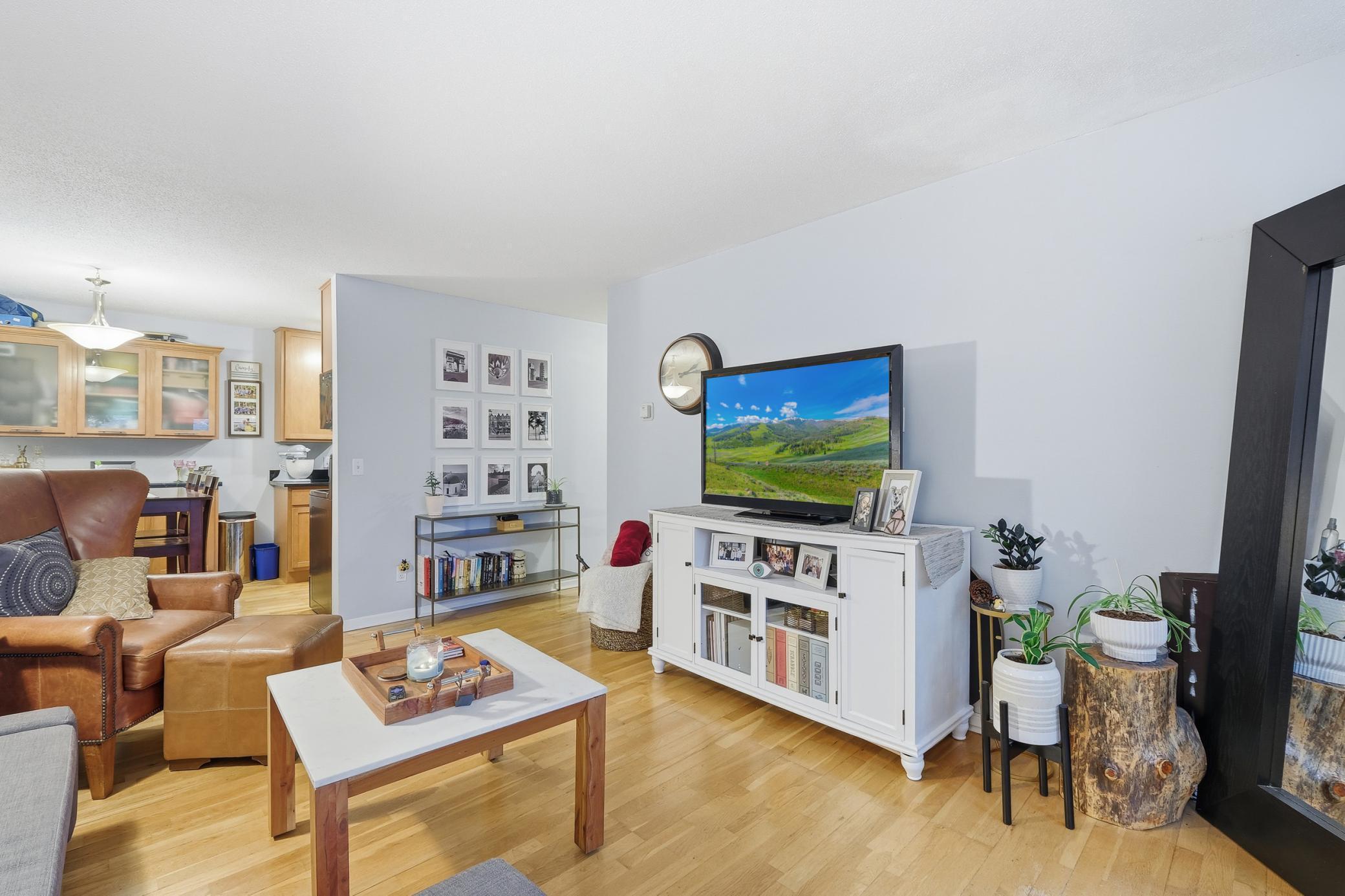 520 Ridgewood Avenue, Unit 107 Minneapolis, MN 55403 - Photo 6 of 18