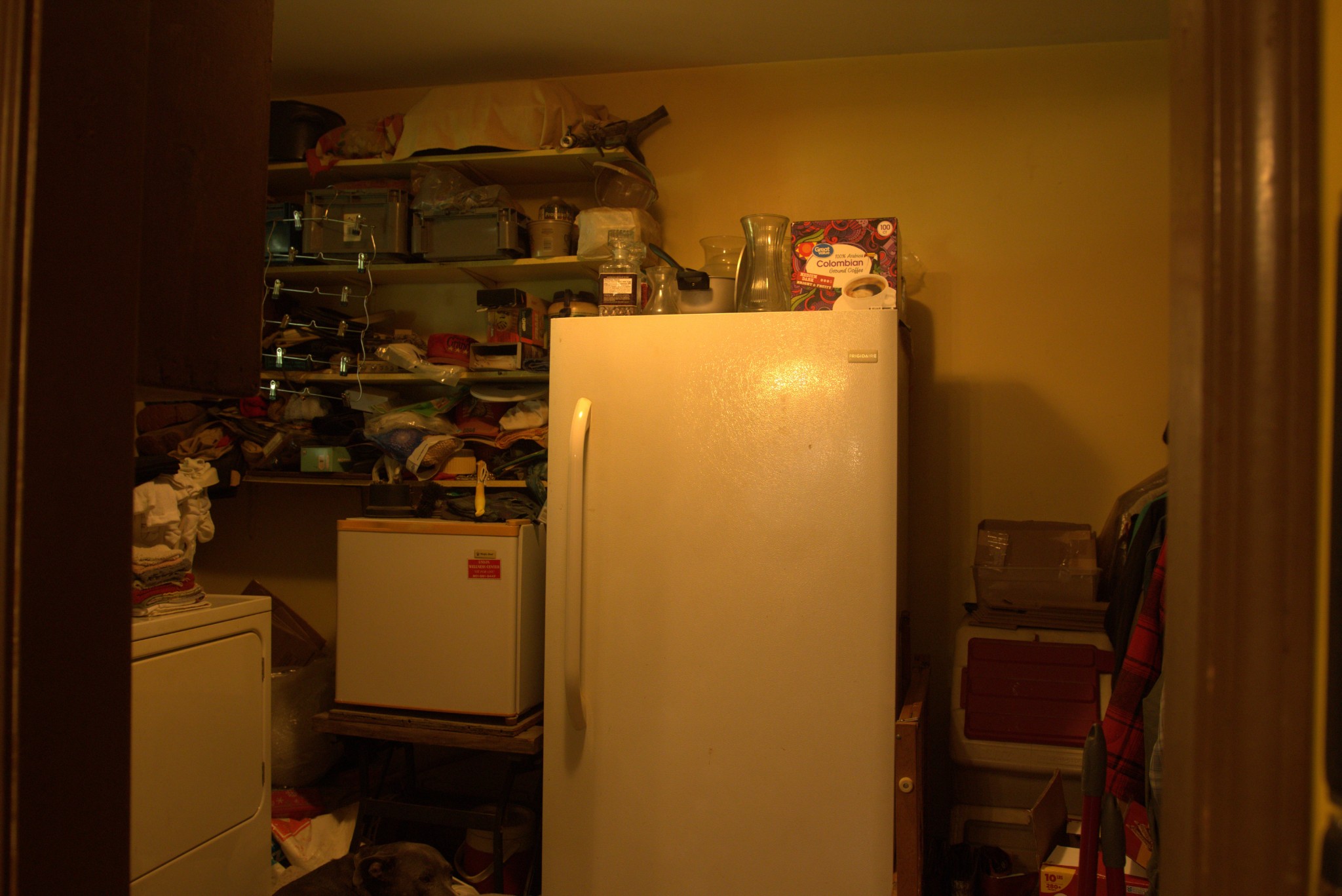 1300 Holder Road Cedar Grove, TN 38321 - Photo 5 of 19 Gallery Image 5