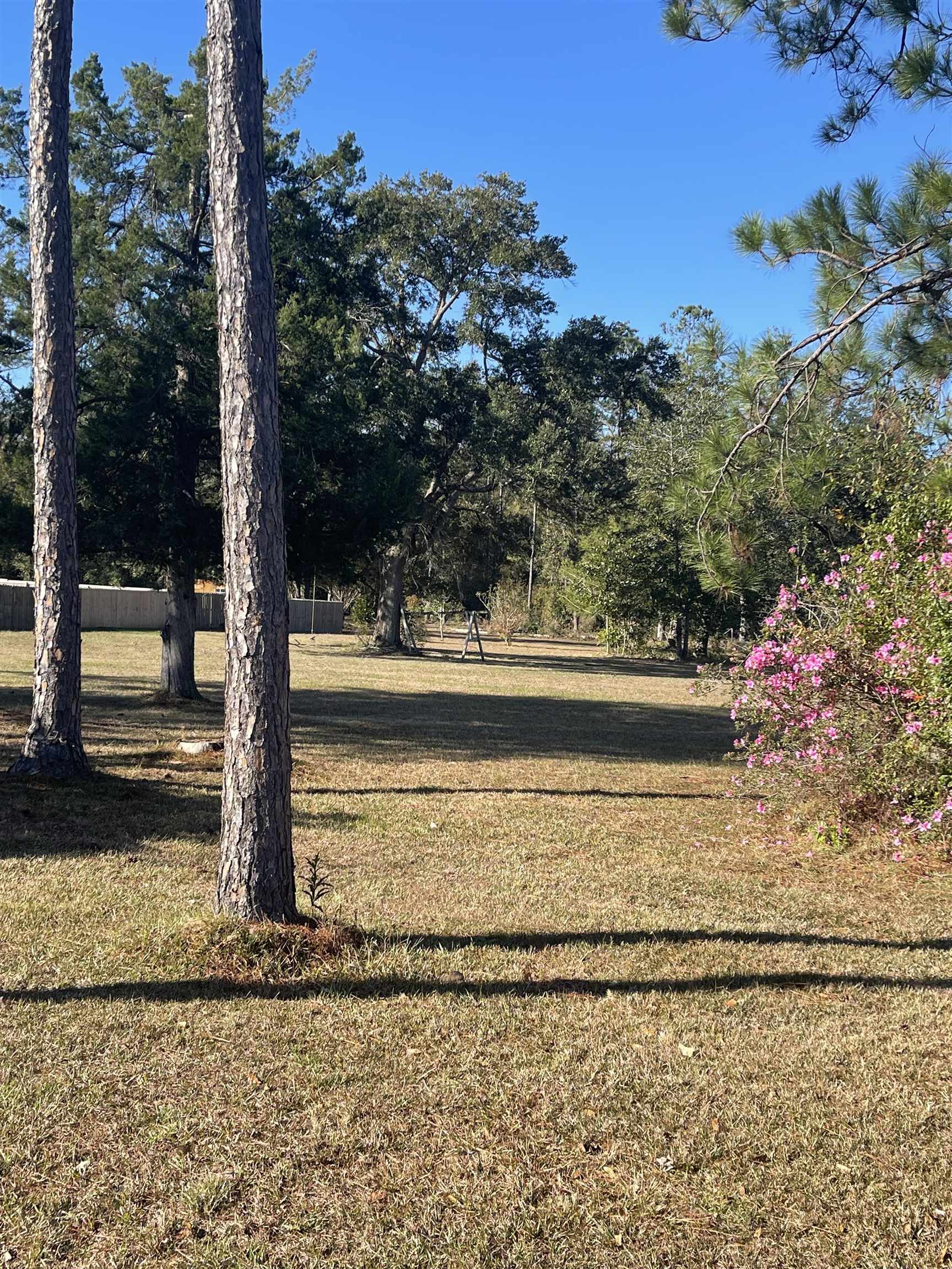 21895 9th Street Silverhill, AL 36576 - Photo 4 of 11