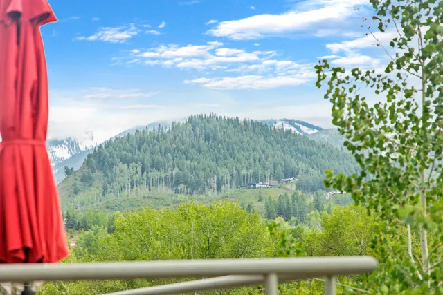 $20,000 | 100 North 8th Street, Unit 29, Aspen, CO 81611