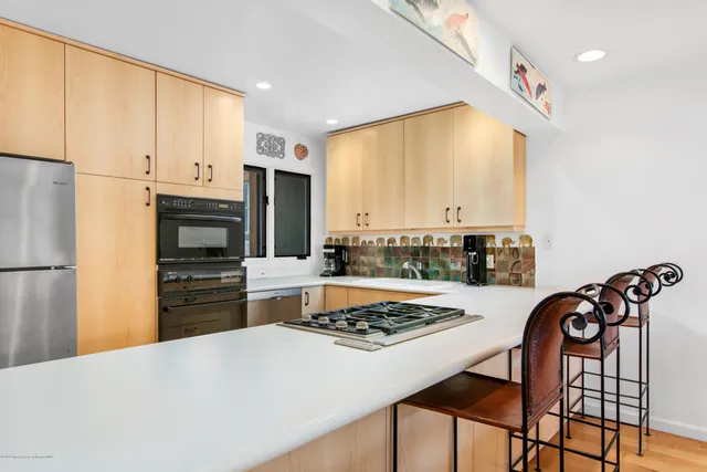 $20,000 | 100 North 8th Street, Unit 29, Aspen, CO 81611