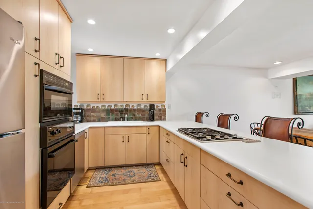 $20,000 | 100 North 8th Street, Unit 29, Aspen, CO 81611