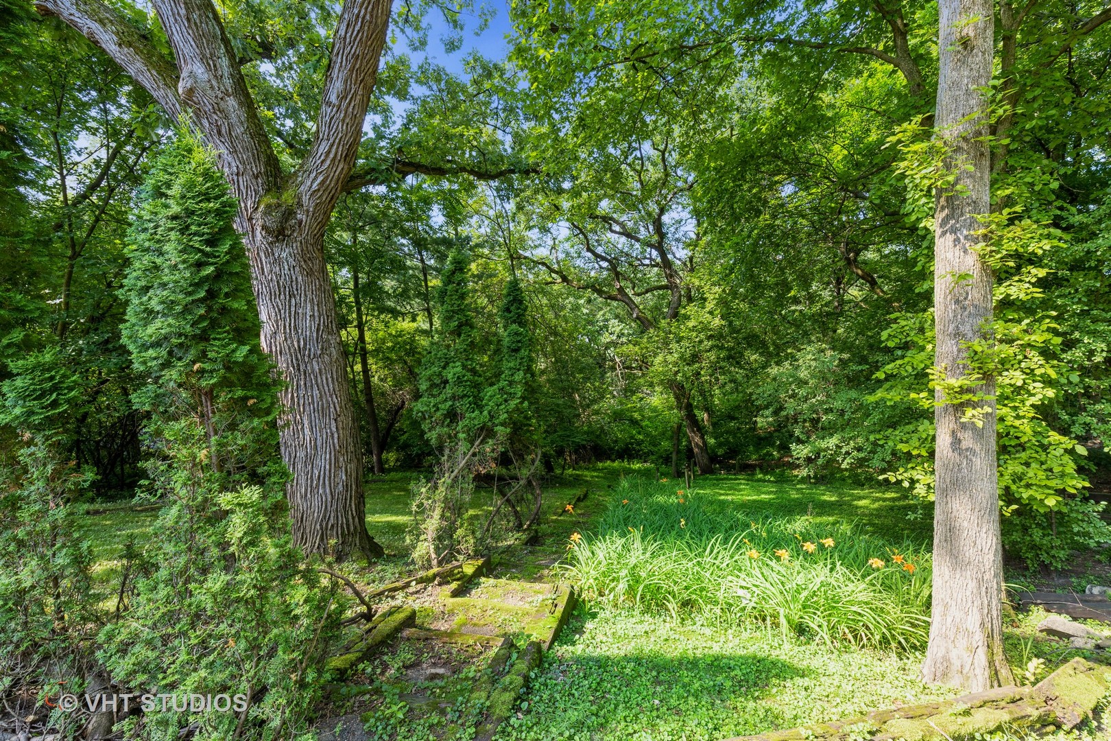 433 High Road Cary, IL 60013 - Photo 6 of 20
