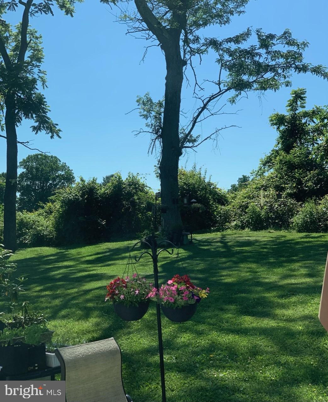 5004 Kennett Pike Wilmington, DE 19807 - Photo 33 of 37 a view of a park and trees