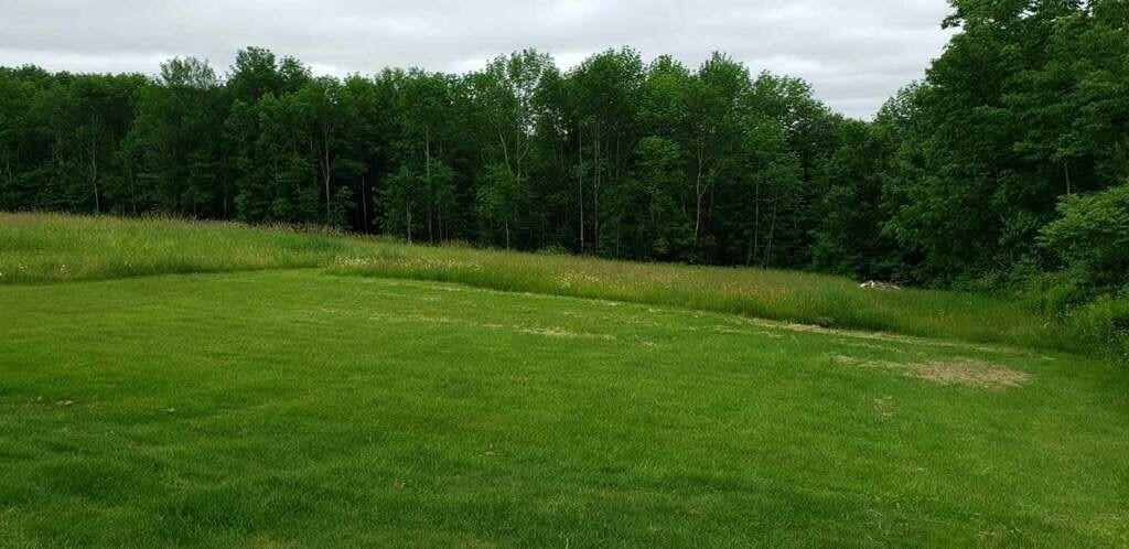 79 Carlton Pond Road Winthrop, ME 04364 - Photo 31 of 31 Back Yard!