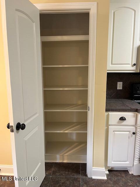 810 Windlass Cove Brandon, MS 39047 - Photo 14 of 32 Pantry