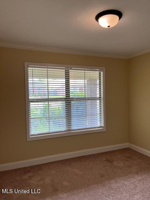 810 Windlass Cove Brandon, MS 39047 - Photo 15 of 32 Front bedroom