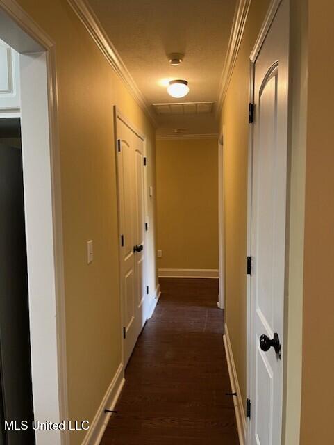 810 Windlass Cove Brandon, MS 39047 - Photo 20 of 32 Hallway