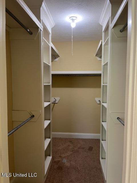 810 Windlass Cove Brandon, MS 39047 - Photo 25 of 32 Primary walk-in closet