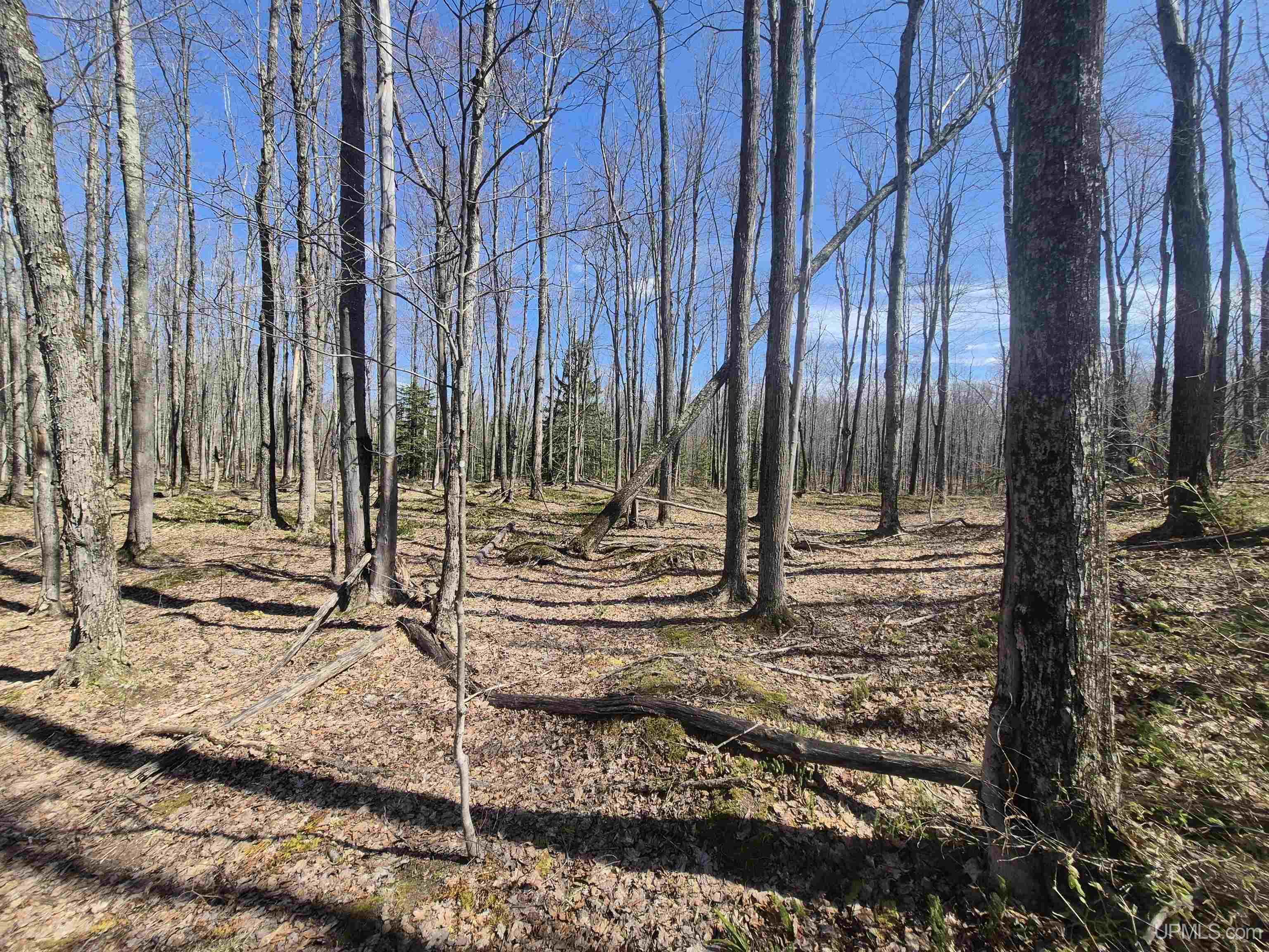 12-acres Salmon Road L'Anse, MI 49946 - Photo 26 of 39