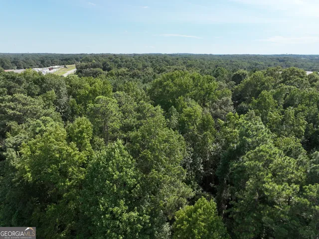 an aerial view of a forest with houses