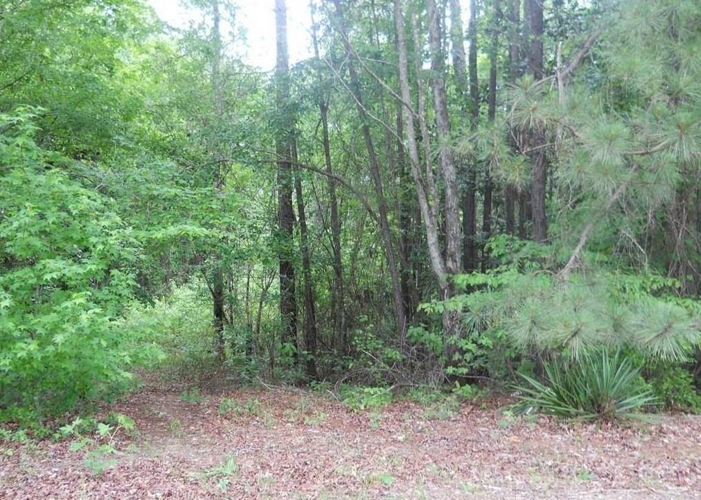 0 Belle Trace Road Lecompte, LA 71346 - Photo 1 of 1