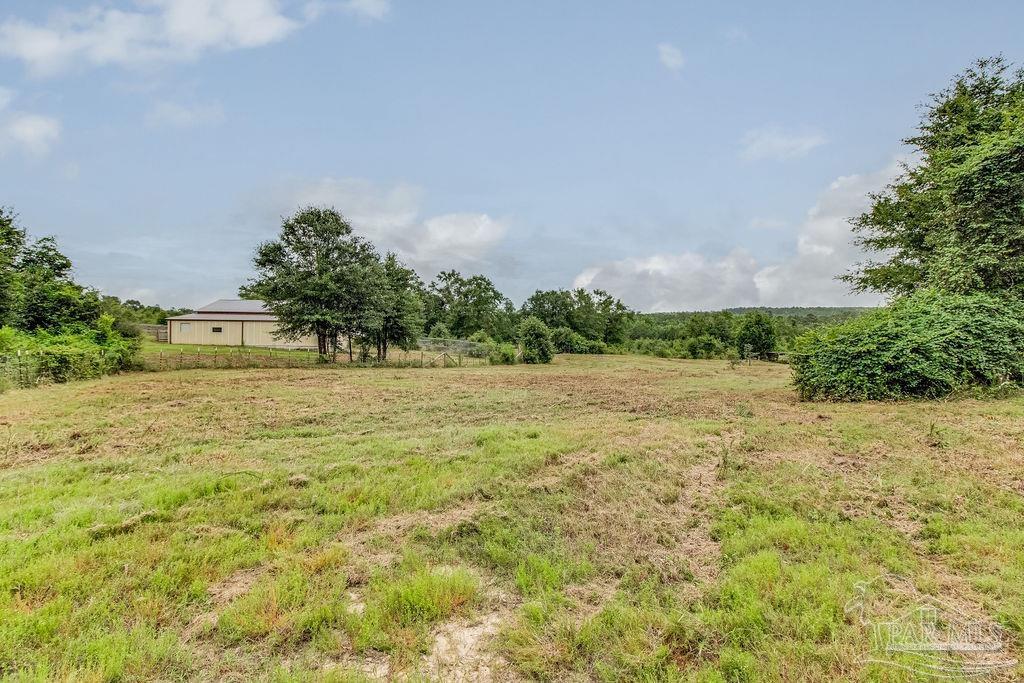 Lot 3 Annie Penton Road Jay, FL 32565 - Photo 4 of 9 Gallery Image 4