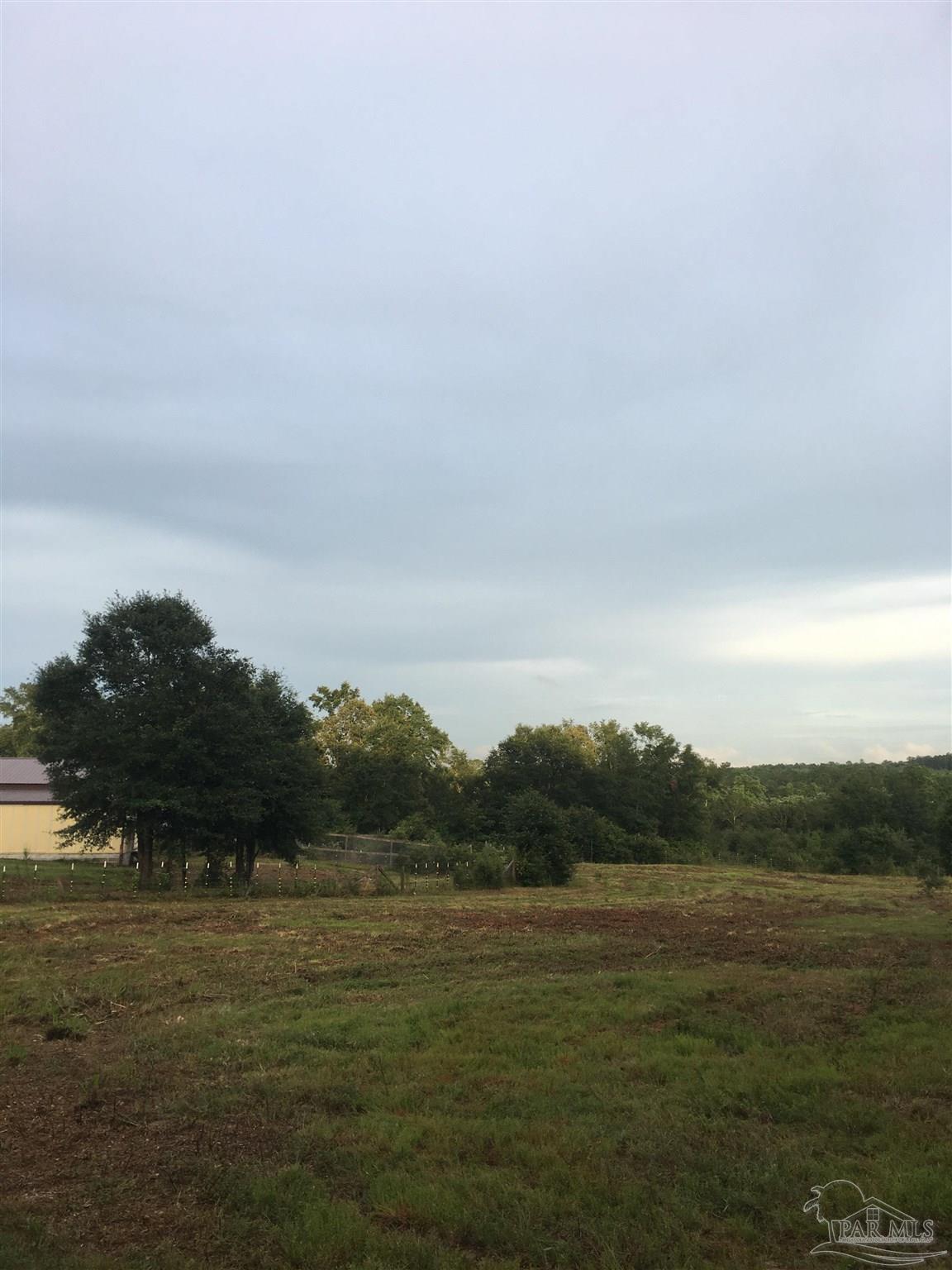 Lot 3 Annie Penton Road Jay, FL 32565 - Photo 6 of 9 Gallery Image 6