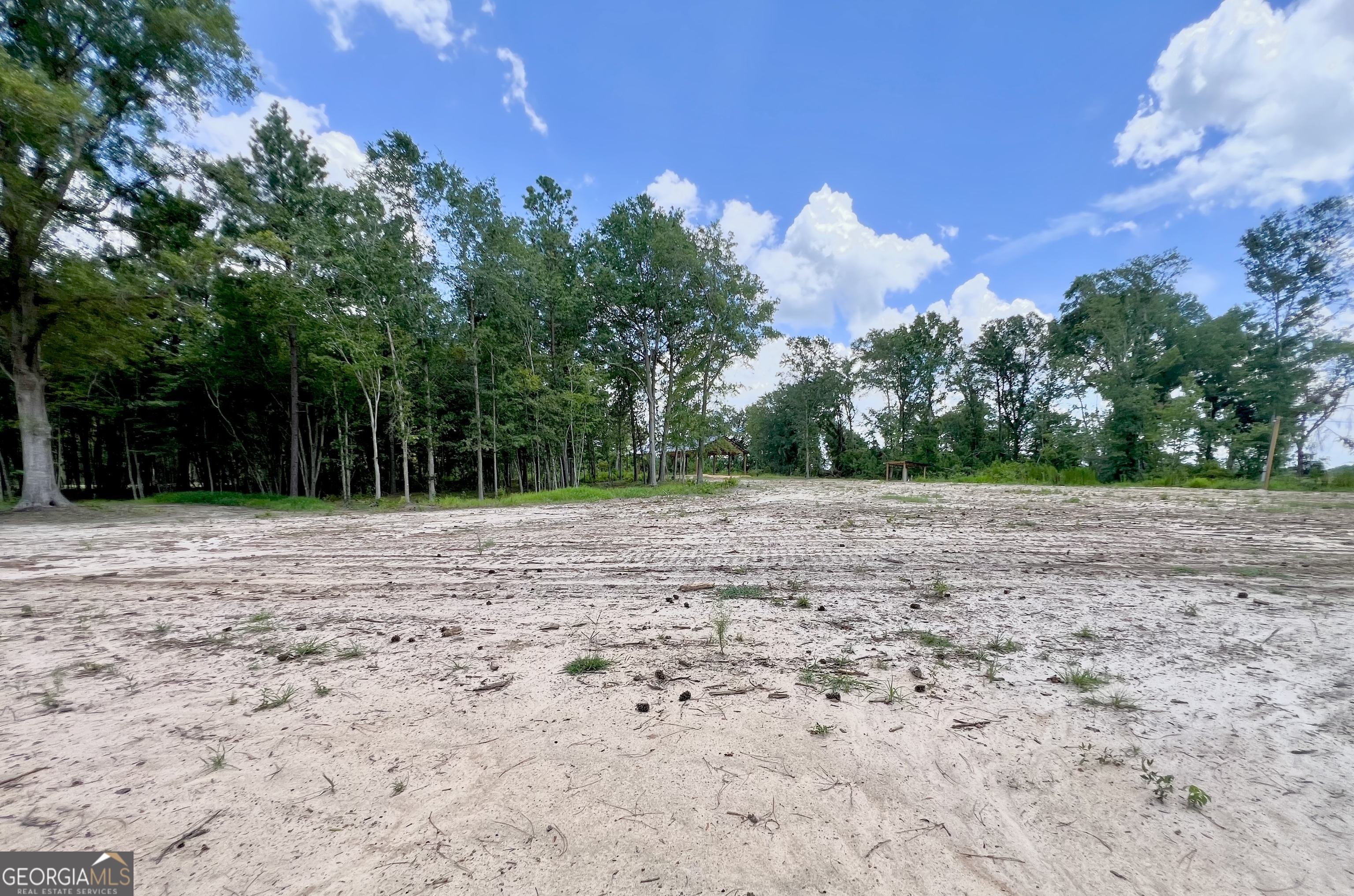2218 Pittman Road Cobbtown, GA 30420 - Photo 7 of 7 Gallery Image 7