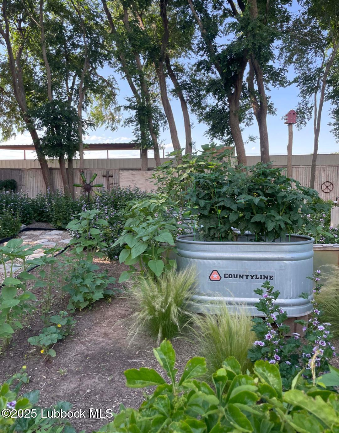 7206 76th Street Lubbock, TX 79407 - Photo 51 of 55 a view of a yard with a tree