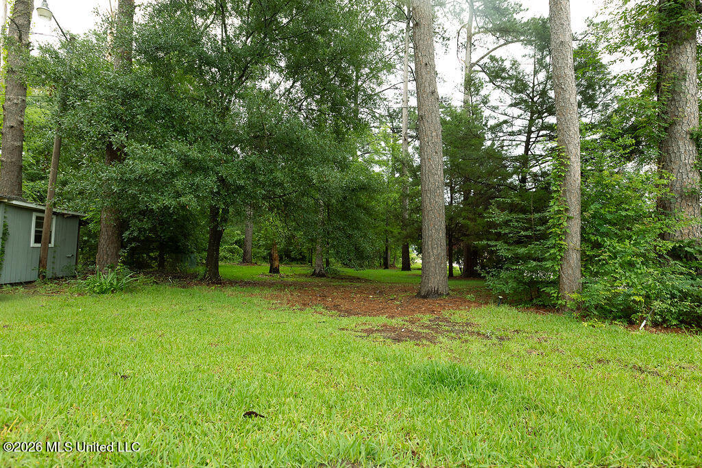 6450 Manship Road Brandon, MS 39047 - Photo 8 of 14 BH26_Manship_01-