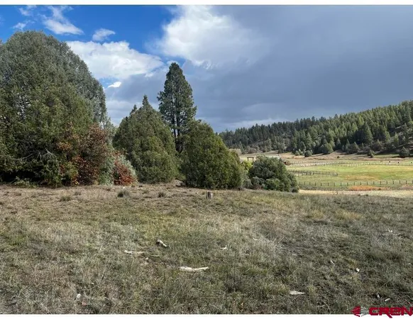 a view of a field with an trees