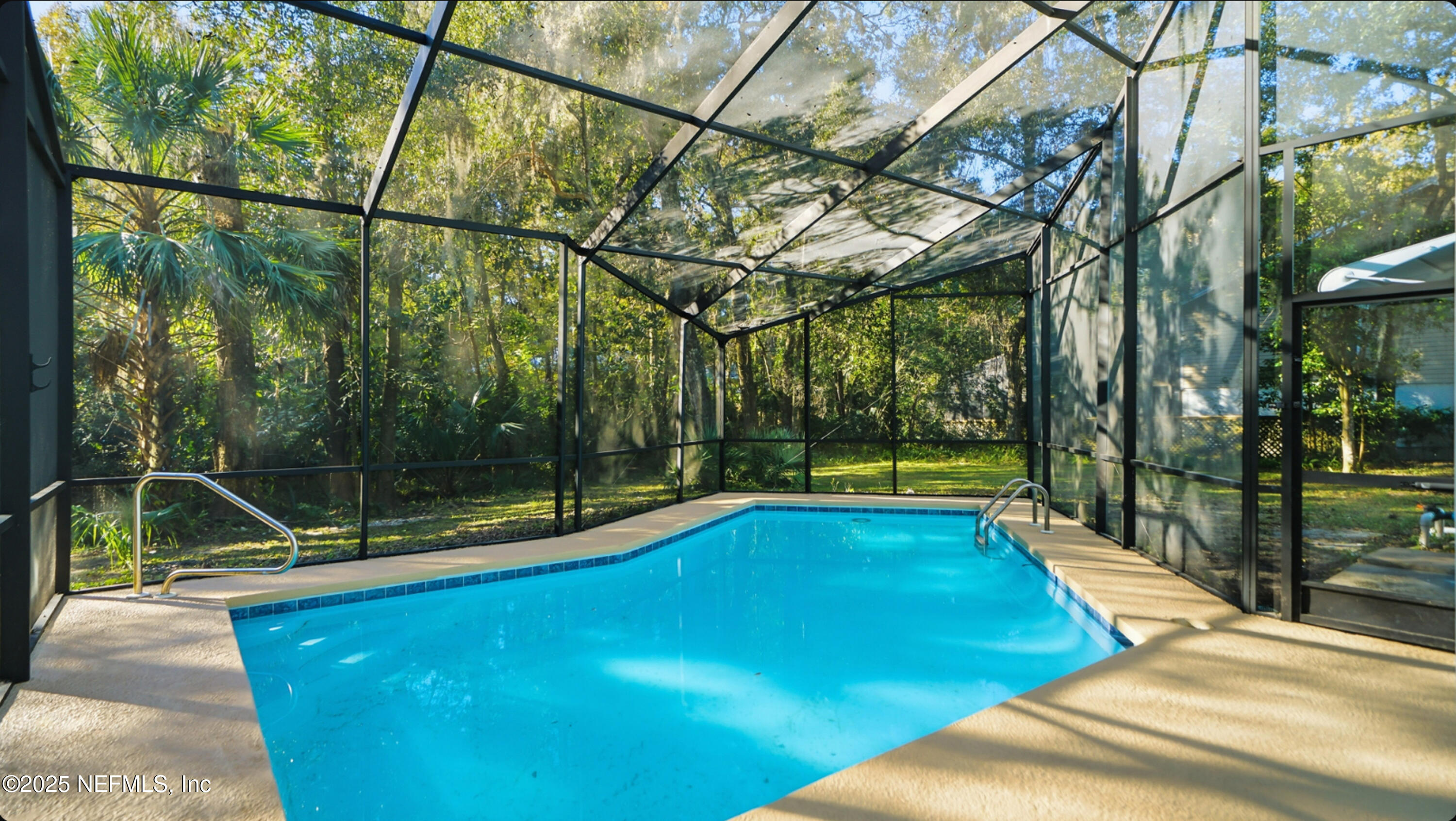 3217 Turtle Creek Road St. Augustine, FL 32086 - Photo 45 of 57 a view of swimming pool with a backyard and trees