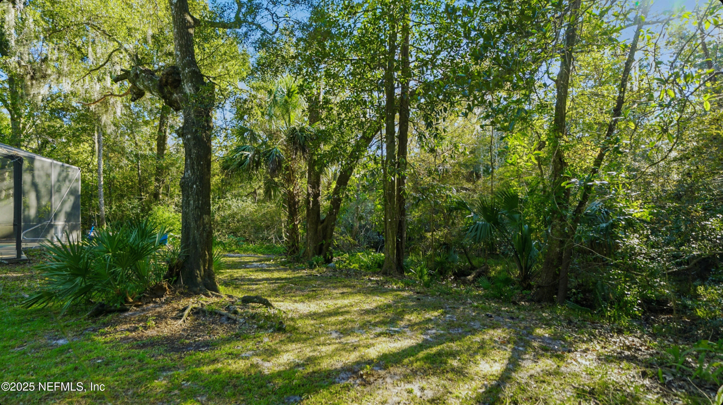 3217 Turtle Creek Road St. Augustine, FL 32086 - Photo 47 of 57 a view of outdoor space with trees all around