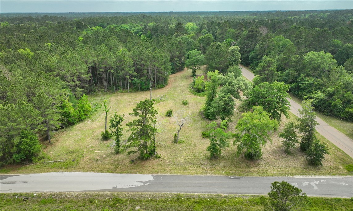 5914 Carter Road Waller, TX 77484 - Photo 1 of 41