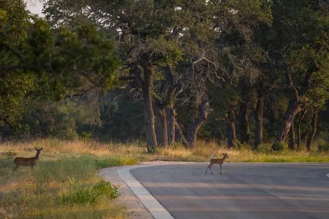 view of city and mountain