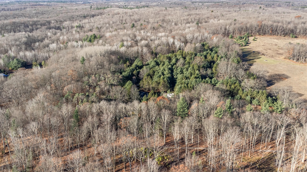 1597 South Saddler Road Luther, MI 49656 - Photo 25 of 38