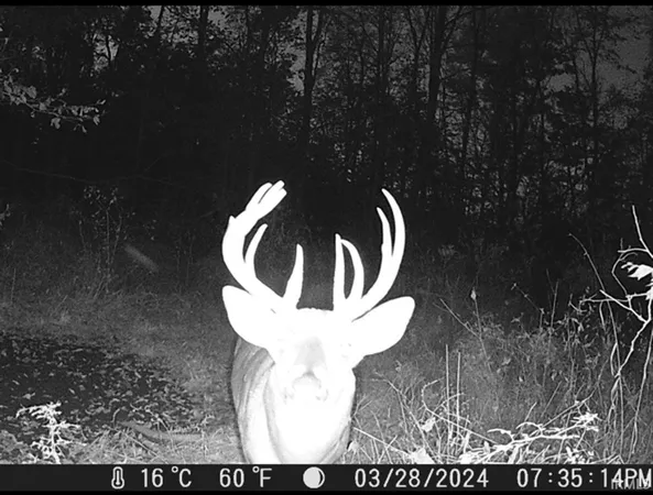 $485,000 | 8112 West County Road 1000 North, Jamestown, IN 46147