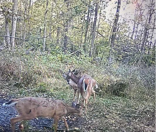 $485,000 | 8112 West County Road 1000 North, Jamestown, IN 46147