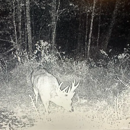 $485,000 | 8112 West County Road 1000 North, Jamestown, IN 46147