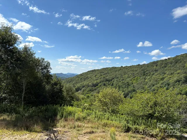 a view of a lake in middle of forest